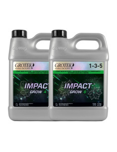 IMPACT GROW A+B 1 L GROTEK