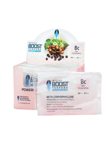 62% 67GR INTEGRA BOOST B-CARIOPHYLENE CAJA-BLISTER (12 UDS)