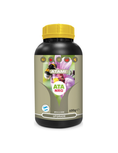 ATA NRG UPGRADE 600 G
