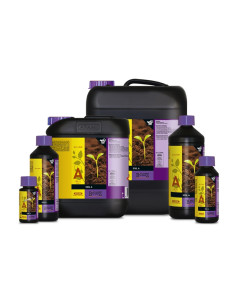 B'CUZZ SOIL NUTRITION A 10 L 2