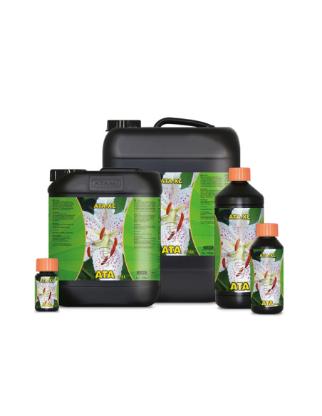ATA - XL 5 L