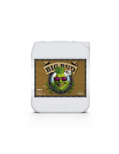 BIG BUD COCO LIQUID 5L