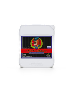 PH PERFECT CONNOISSEUR BLOOM PART A 5L