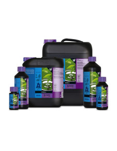 B'CUZZ HYDRO NUTRITION A 10 L 2