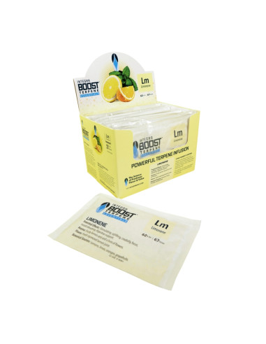 62% 67GR INTEGRA BOOST LIMONENE CAJA-BLISTER (12 UDS)