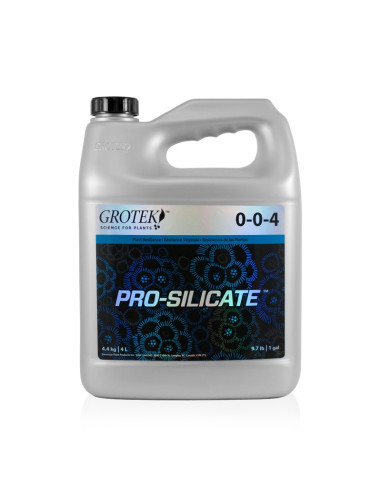 PRO SILICATE 4 L. GROTEK