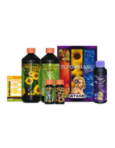 BLOOMBASTIC BOX ATA/TERRA
