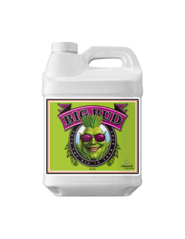 BIG BUD LIQUID 250ML