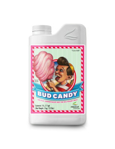 BUD CANDY 1L