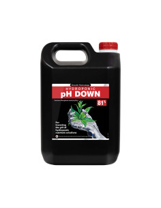 PH DOWN 81% (5 LTR)
