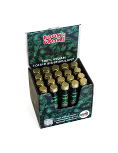 BOOM BOOM SPRAY 20ML (CAJA DISPLAY 20 UNIDADES)