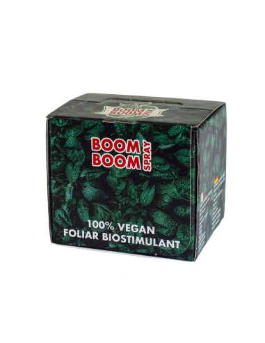BOOM BOOM SPRAY 20ML (CAJA DISPLAY 20 UNIDADES)