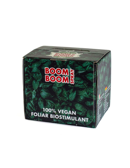 BOOM BOOM SPRAY 20ML (CAJA DISPLAY 20 UNIDADES)