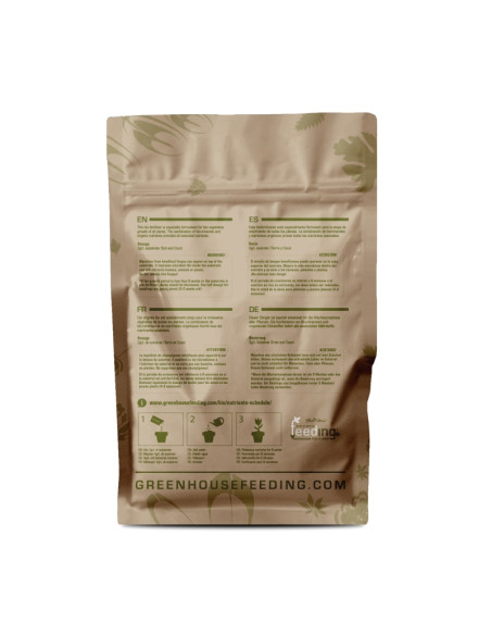 GREEN HOUSE POWDER FEEDING BIO GROW 500 GR