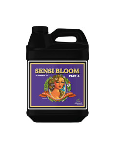 PH PERFECT SENSI BLOOM PART A 500ML
