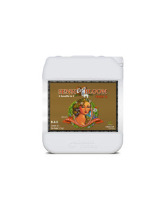 PH PERFECT SENSI BLOOM COCO PART B 5L
