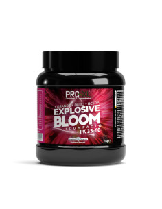 EXPLOSIVE BLOOM 1KG
