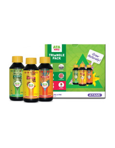 TRIANGLE PACK