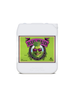 BIG BUD LIQUID 5L