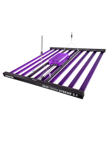 LUMATEK ZEUS 1000W XTREME 3,1