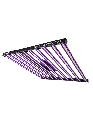 LUMATEK ZEUS 1000W XTREME 3,1
