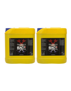 B.A.C. - COCO BLOOM A&B 5L.