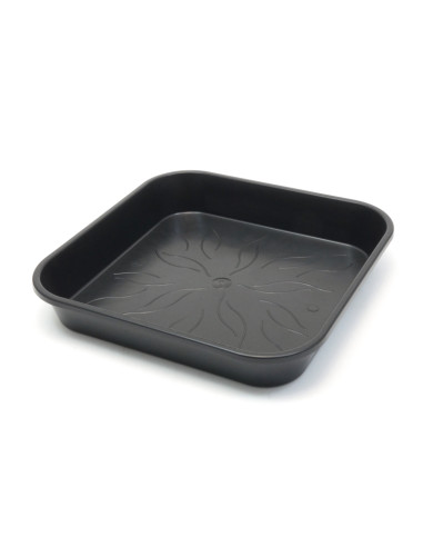 PLATO CUADRADO PURE FACTORY 17X17CM (40 UND)