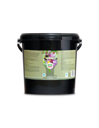 ATA NRG UPGRADE 6KG