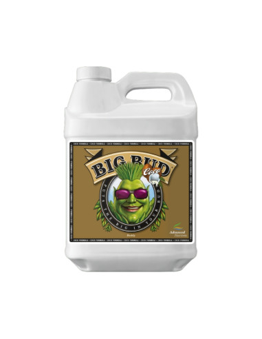 BIG BUD COCO LIQUID 250ML