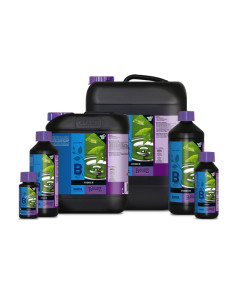 B'CUZZ HYDRO NUTRITION B 10 L 2