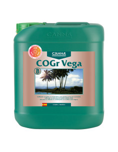 C.COGR VEGA B 5 L.