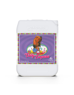 TASTY TERPENES 10L