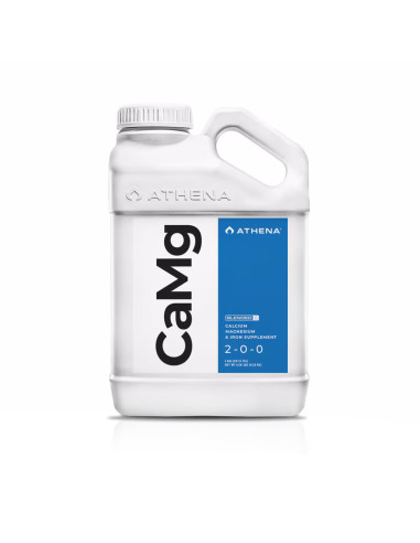 ATHENA - CAMG  3.78L
