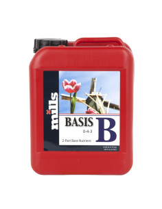 BASIS B 5 L