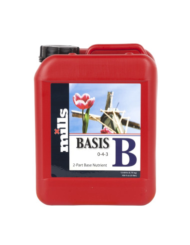 BASIS B 5 L