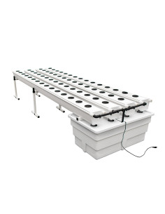 GROWSTREAM (2.0) 60