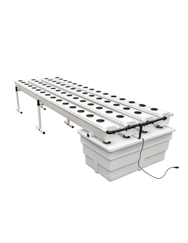 GROWSTREAM (2.0) 60