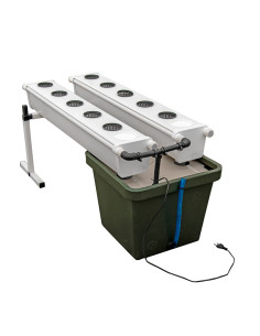 GROWSTREAM (2.0) 10