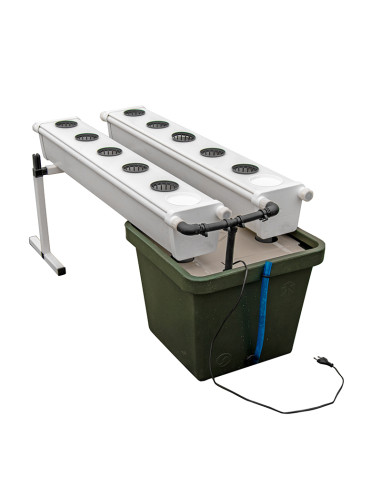GROWSTREAM (2.0) 10