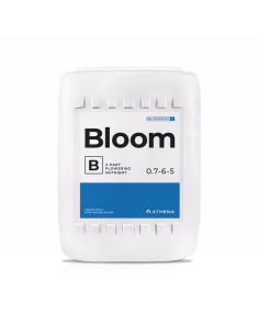 ATHENA - BLOOM B 18.92L