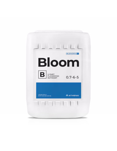 ATHENA - BLOOM B 18.92L