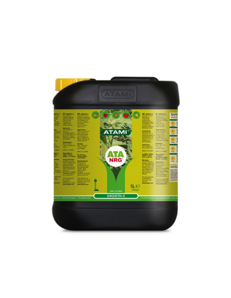ATA NRG GROWTH-C 5 L
