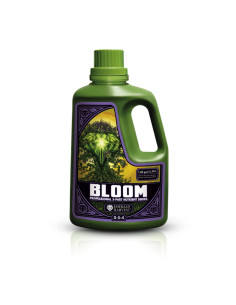 BLOOM (3,79L) (MULTI-IDIOMA)