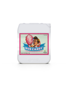 BUD CANDY 5L