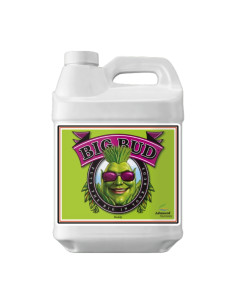 BIG BUD LIQUID 10L