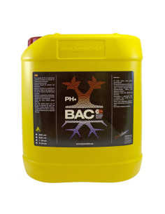 B.A.C. - PH UP 5 L.