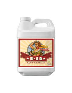 B-52 250ML