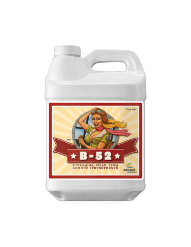 B-52 250ML