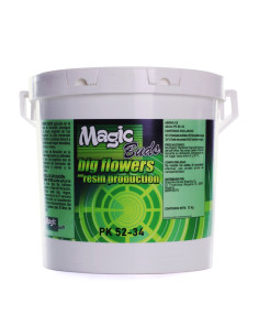 MAGIC BUDS PK 52-34 (12 KG)