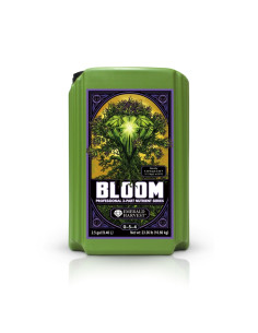 BLOOM (9,46L) (MULTI-IDIOMA)